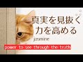 真実を見抜く力を高める真言レイキヒーリング【Mantra healing that increases your ability to see through the truth】