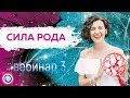 Сила рода. Вебинар 3 — Евгения Бабина