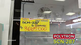 SCN287 Polytron showcase