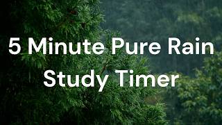 5 Minute Pure Rain Focus Timer 🌧️ Giant Center Clock (Cozy Clean Up Clock) screenshot 1