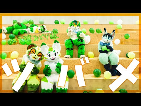 体育館みどり組が『ツバメ／YOASOBI feat.ミドリーズ』を踊ってみた / "Tsubame" danced by Greens　#着ぐるみ