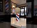 DISHI Professional Resin Handle Boar Bristle Shaving Brush for Men Shaving
