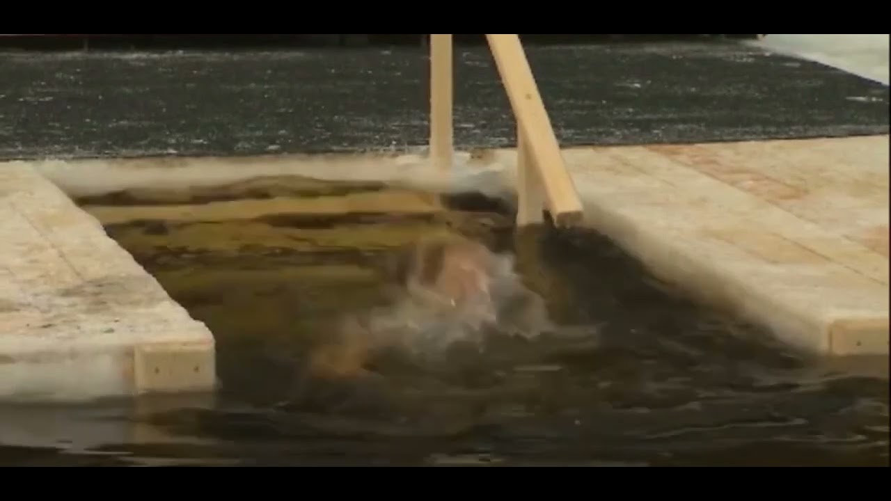 Putin celebrates Jesus's Baptism