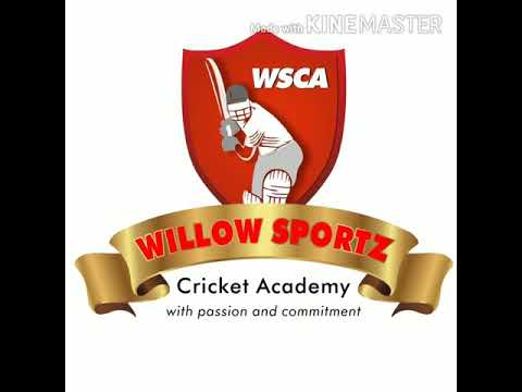Willow sportz cricket academy