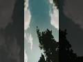 bijli giraye mai pass #ytshorts #youtubeshorts #trending #short #shortfeed #actorbalramsoni #shorts