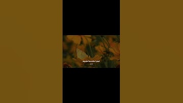 اترك أثر تؤجر عليه 🤍( #عمر_بن_ضياء_الدين | #سورة_الزمر )#quran#قران #قران_كريم #تلاوة_خاشعة