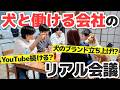 【舞台裏】犬と働ける会社のリアル会議を大公開!|「YouTube続ける!?」「犬のブランド立ち上げ!?」