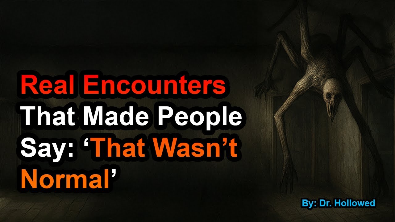 Real Encounters That Made People Say: ‘That Wasn’t Normal’