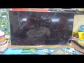 Video Image