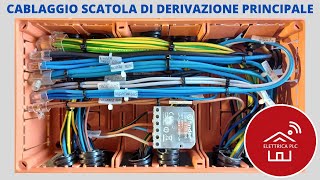 *19* CABLAGGIO SCATOLA DI DERIVAZIONE PRINCIPALE (QUADRO ELETTRICO 6 kw 'LIV 1')