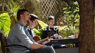 Alleluia - Hallelujah - Alleluja - Halleluia in italiano chords