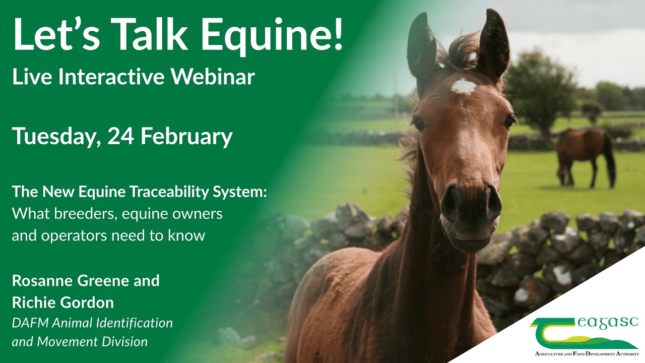 Let's Talk Equine: The New Equine Traceability System