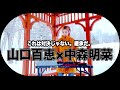 山口百恵 × 中森明菜|昭和歌謡の魂を継ぐ女たち【DJ MIX】