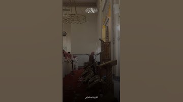 سورة التوبة - القارئ ماجد الحازمي