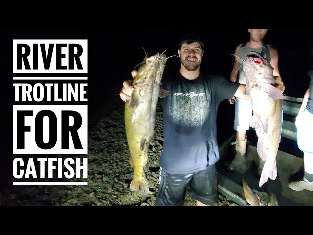 River Trotline For Catfish - CATCH AND COOK! S10 