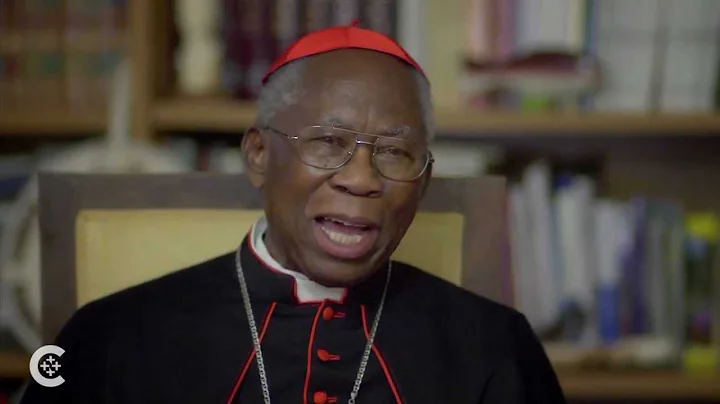 Cardinal Arinze reacts to pope's resignation