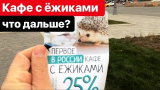 Кафе с ёжиками в Москве. Что будет дальше? Cafe with hedgehogs in Moscow. What will happen next? Кафе с ёжиками в Москве. Что будет дальше? Cafe with hedgehogs in Moscow. What will happen next?