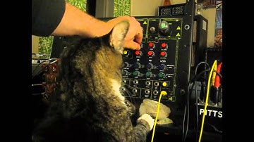 Wretch Jam #5 (with Drone Cat)