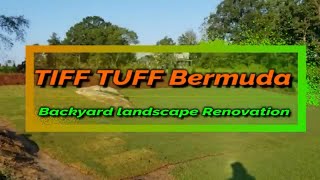 Tiff Tuff Bermuda Sod Transformation Complete Lawn Restart Big Jobs Big