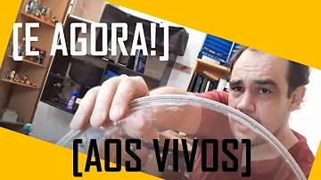 Qual é a pele de resposta?