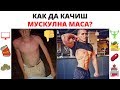 Как Да Качиш Мускули (БЪРЗО)