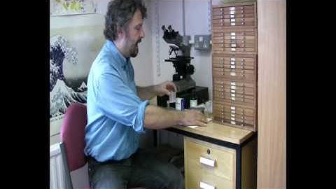 Radiolarian Micropalaeontology: Extracting Radiolaria from Sediment