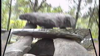 Dolmen de Axeitos - arqueológicos - archaelogists - monumento