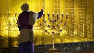 #36a Beha'alotcha - D'var Torah about the MENORAH and how it is a symbol of us being the LIGHT!