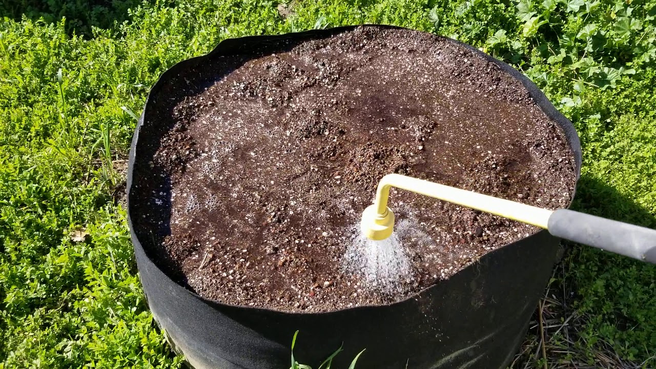 Cooking/Steeping Newly Amended soil. YouTube
