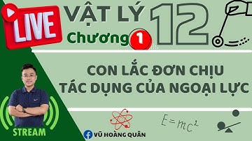 Con Lắc Đơn Chịu Tác Dụng Của Ngoại Lực II Lý Thầy Quân