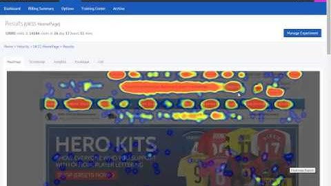 Mockingfish Heatmap Report