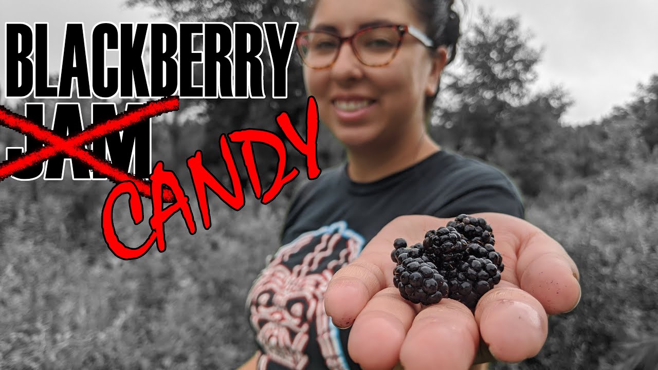 OUR BLACKBERRY JAM TURNED INTO CANDY Too much sugar makes candy