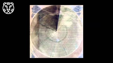 IFFR presents: Crops