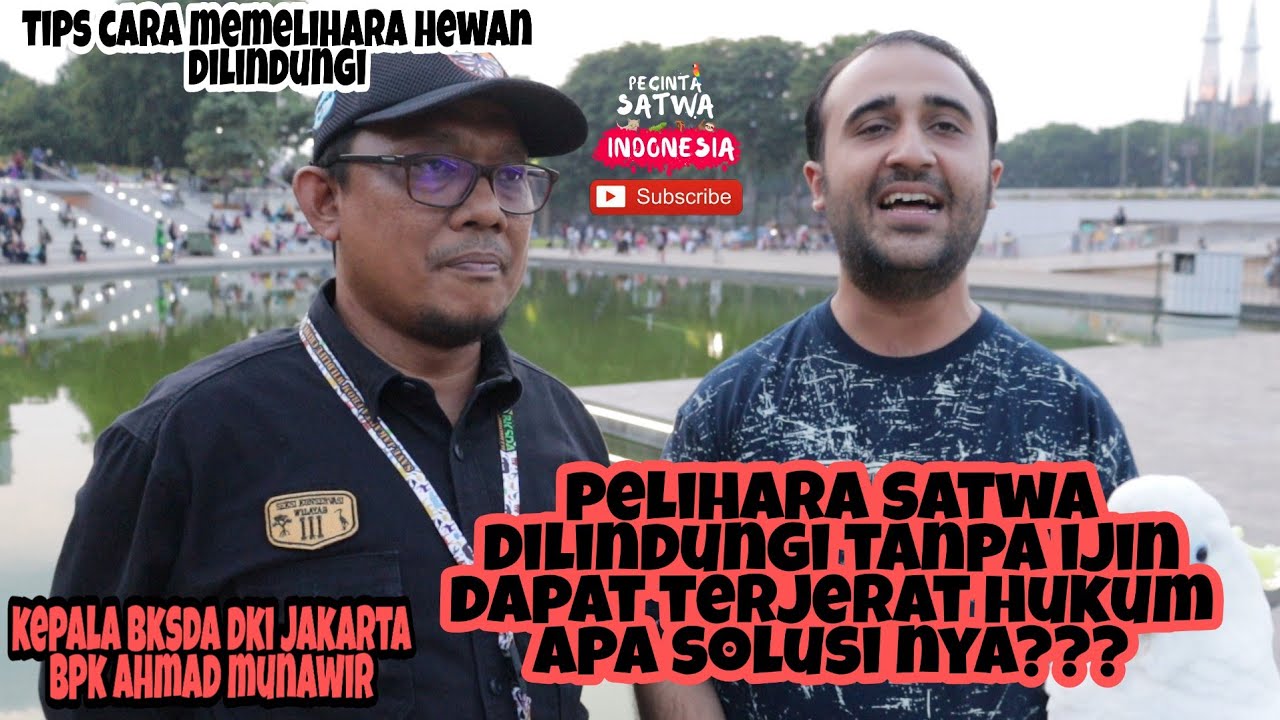 penjelasan memelihara burung kakatua (dilindungi) oleh kepala bksda
