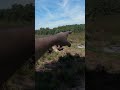 These Brothers Stole the moon #adventure #funny #explore #travel #trip