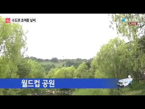 전국 곳곳 소나기...수도권 오늘도 초여름 / YTN
