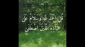 ما تيسر من سورة (النمل) الآيه (59) بصوت جميل