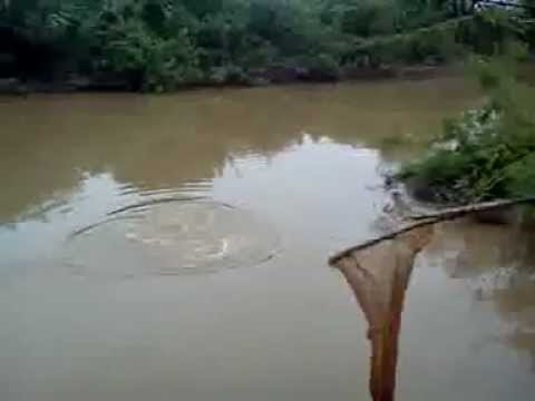 kaki pancing sungai liku kaki pancing sungai liku