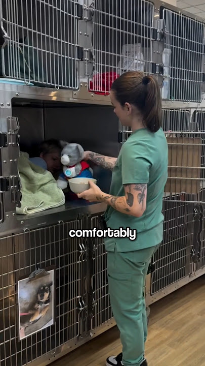 Vet Mom Makes Cage Bed for Her Son