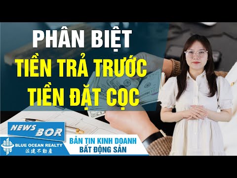 Video: Các công ty bảo hiểm của Yaroslavl: mô tả, địa chỉ, đánh giá