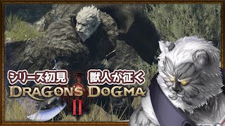 #4【ドラゴンズドグマ2】シリーズ完全初見！ガチ獣人が挑むドラゴンズドグマ2【Vtuber】