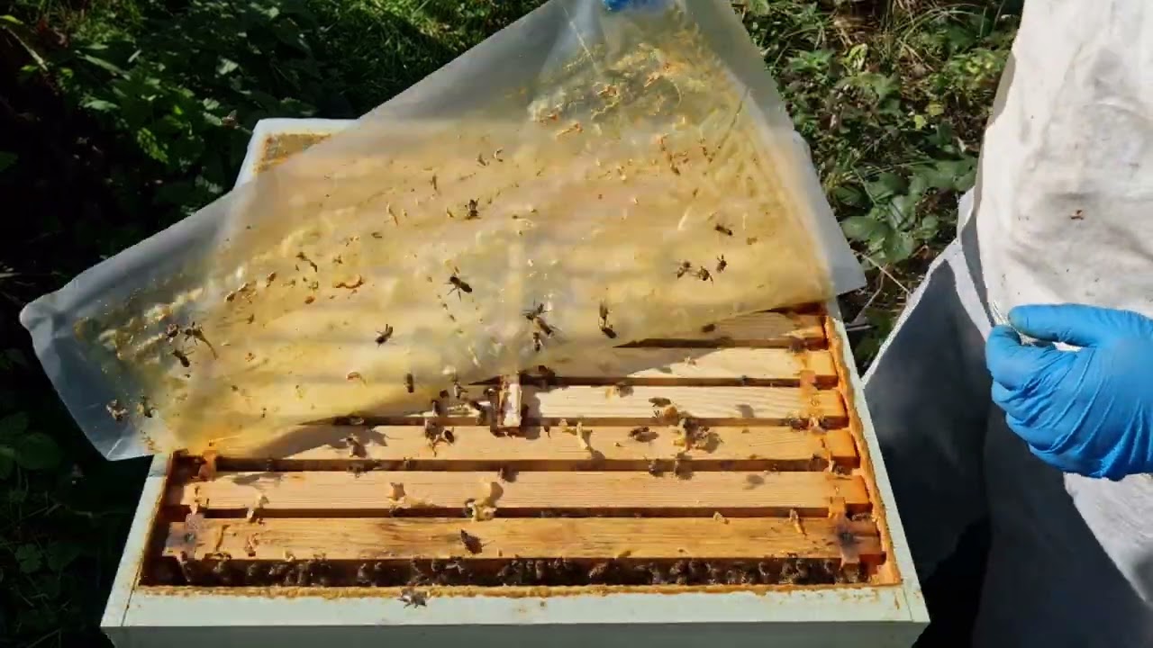 Подготовка к зиме завершена. Представляю вам свой стандарт. Превосходство модели MER.