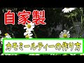 【庭シリーズ】効果が凄い♪庭で育ったカモミール。収穫してオシャレなティータイム(*´з`)♪【気になる部‼】