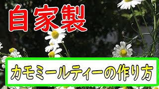 【庭シリーズ】効果が凄い♪庭で育ったカモミール。収穫してオシャレなティータイム(*´з`)♪【気になる部‼】