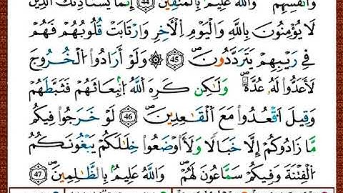 ختمة مصحف التجويد برواية قالون الصفحة رقم 194