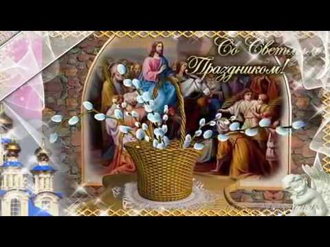 ყველამ ნახეთ