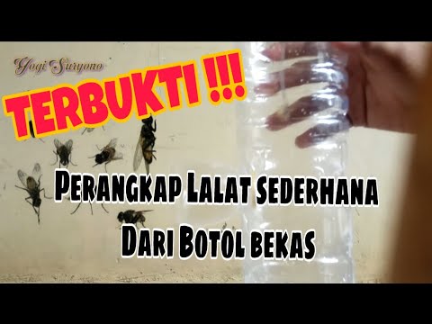 #tutorial Tutorial Menangkap lalat Menggunakan Lem Lalat HD. 