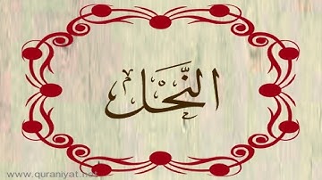 القارئ ناجي الجعفراوي - سورة النحل