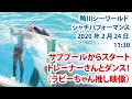 ラビーちゃん推し映像！　サブプールからスタート　トレーナーさんとダンス！【2020年2月24日11:30　鴨川シーワールド　シャチパフォーマンス】