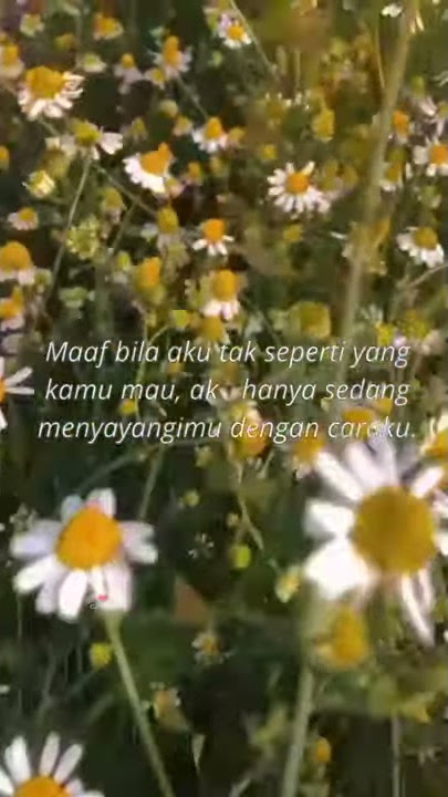 Garby Rasa rindu status WA